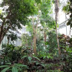 Serra tropicale