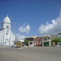 Umbuzeiro