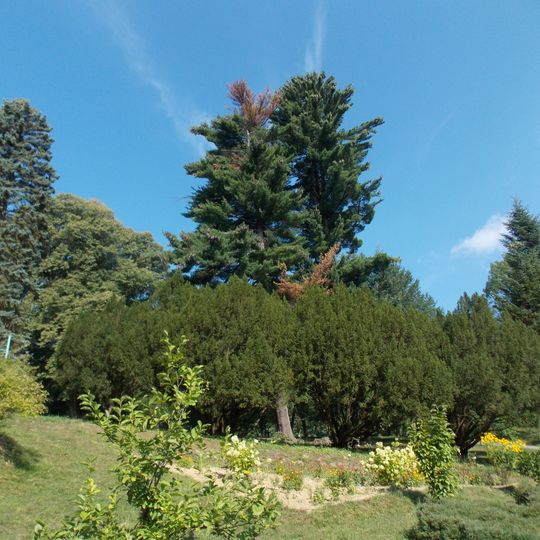 Park sanatorium "Carpathians"