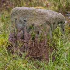 Grenzstein Fürther Stadtwald in Fürth