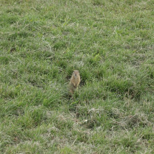 Kolín – letiště