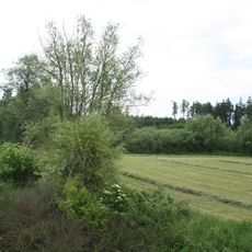 Maršovec a Čepička