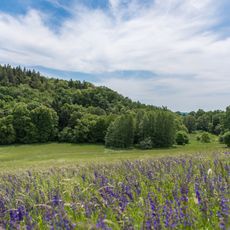 Krebsbachtal bei Kaichen