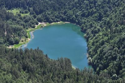 Aerial View 2