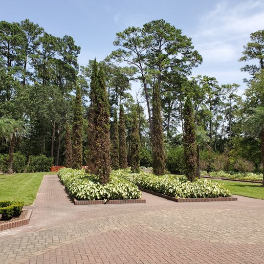 Mercer Arboretum