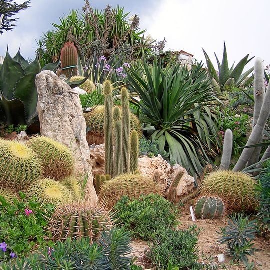 Jardín Botánico d'Èze