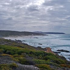 Looking east along Whale Bone beach