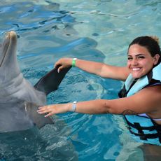 Dolphin Island Park Bavaro