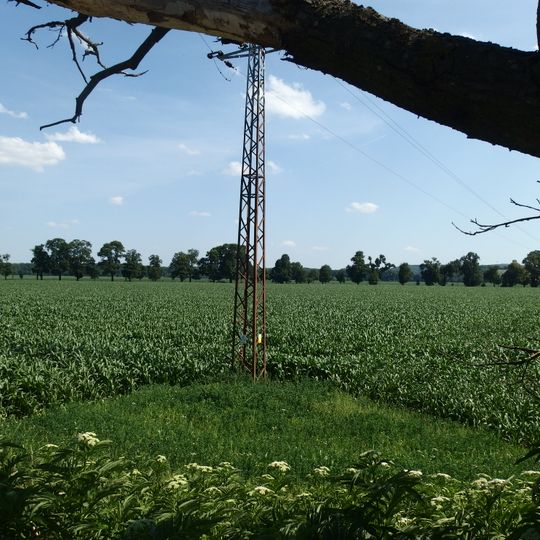 Jasanová alej za býv. mostem