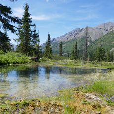 Ogilvie-MacKenzie alpine tundra