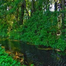 Biotopo Ontaneti di Postal