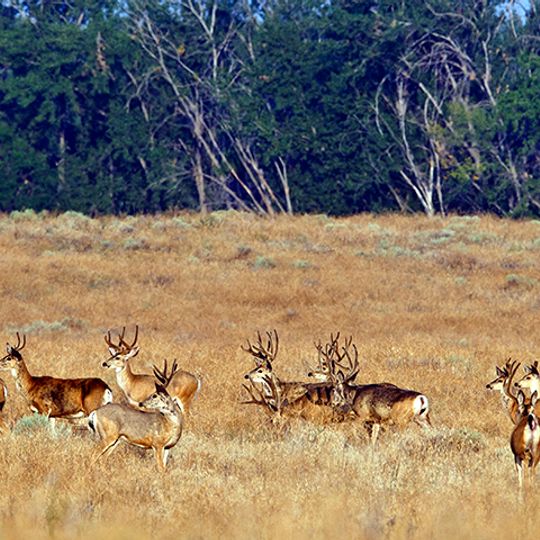 Umatilla National Wildlife Refuge