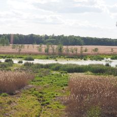 Spannteich Knappenrode