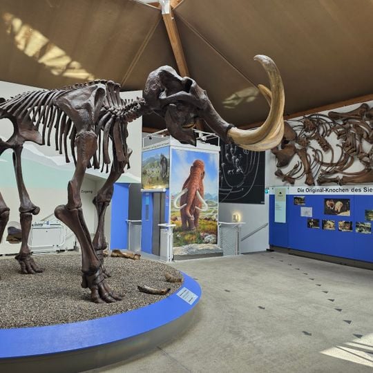 Südostbayerisches Naturkunde- und Mammut-Museum Siegsdorf