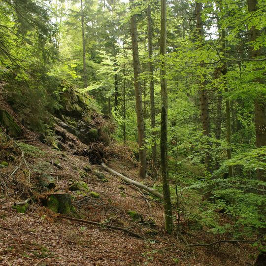 Oberer Hotzenwald