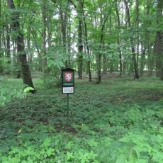 Trnovec (přírodní rezervace)