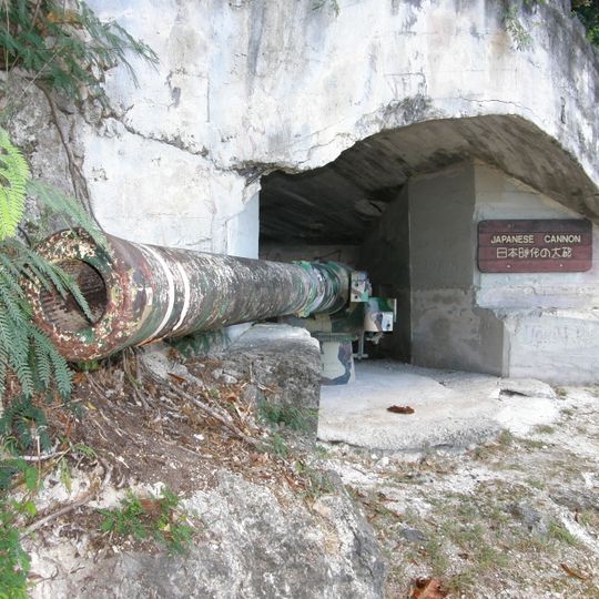 Japanese Coastal Defense Gun