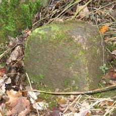 Parish Boundary Stone C.100 Metres East Of Lead Mill House, On South Side Of Road
