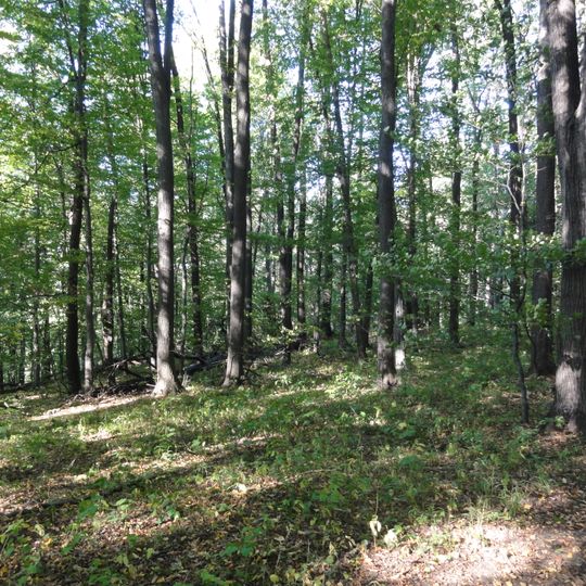 Nature reserve Kopce