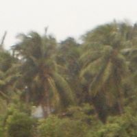 Yanam district