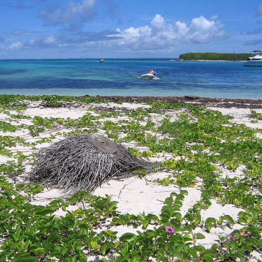 Réserve naturelle nationale des îles de la Petite-Terre