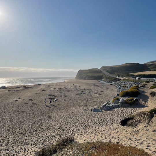 Scott Creek Beach