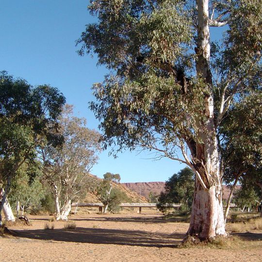 Todd River