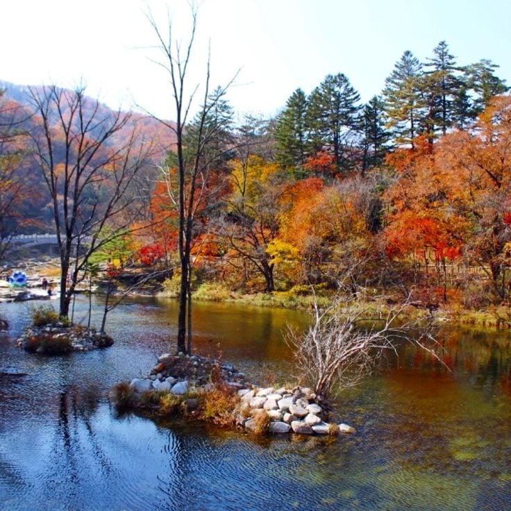 Odaesan National Park