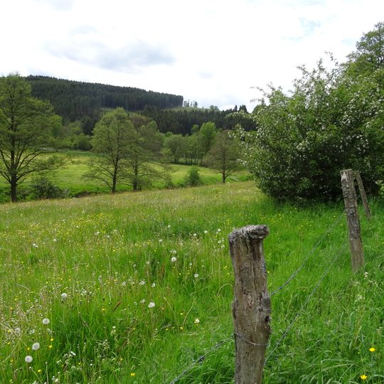 Medebachtal und Quellgebiet