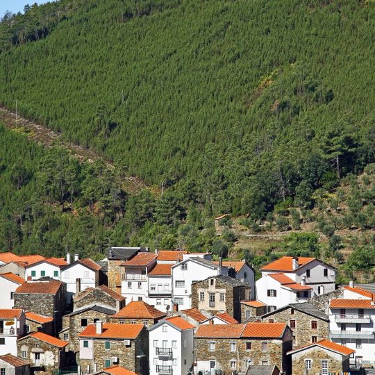 Cabeça
