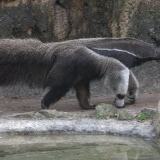 Los Katíos National Park