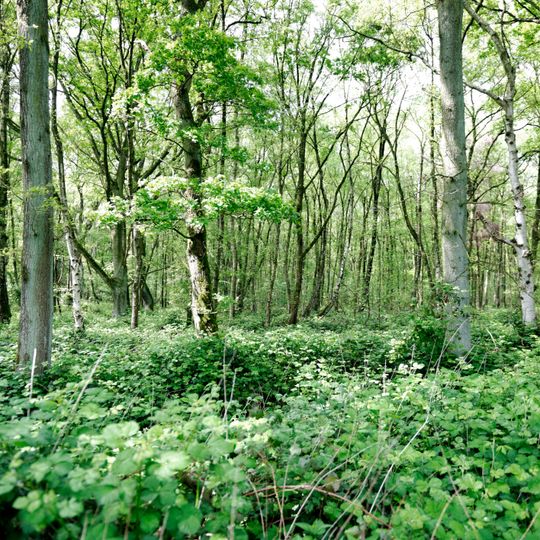 Nieder Heide am Egelsberg