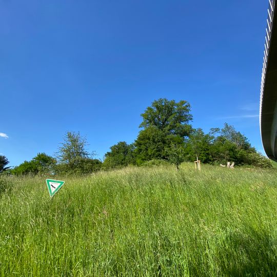 Feldgehölz und Hecke