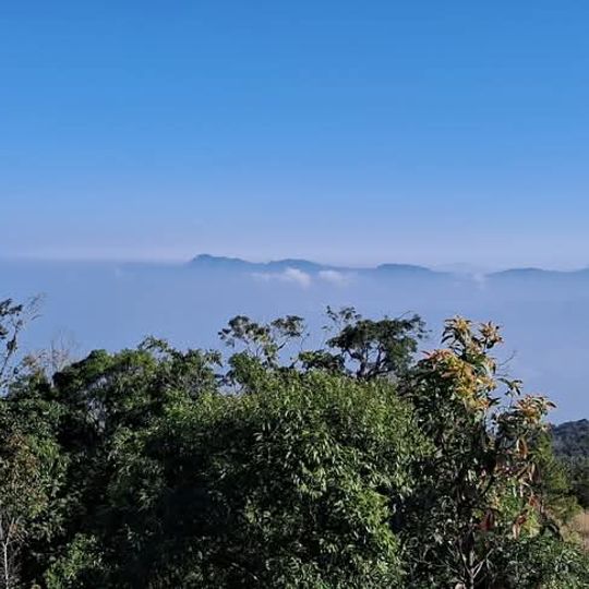 Parque nacional de la pantera nebulosa
