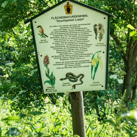 Feuchtgebiet Luppa