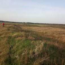 Молодечненский замок