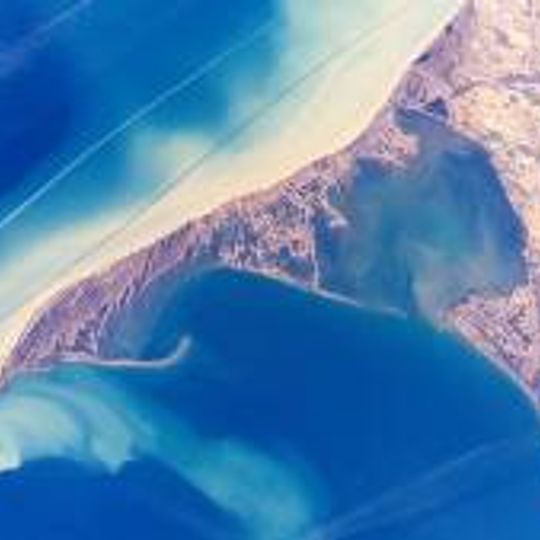 Long Point