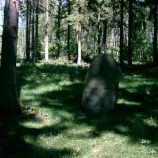 Steintanz von Netzeband