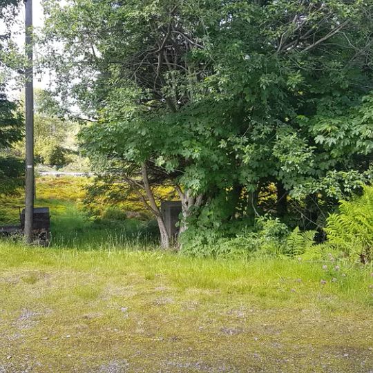 Møvik koleragravsted