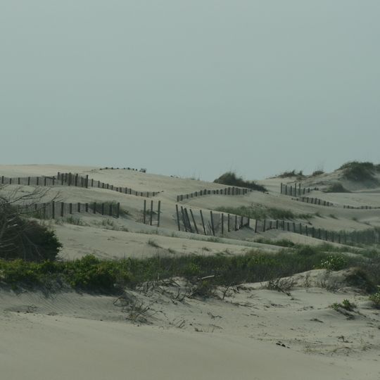 Pea Island