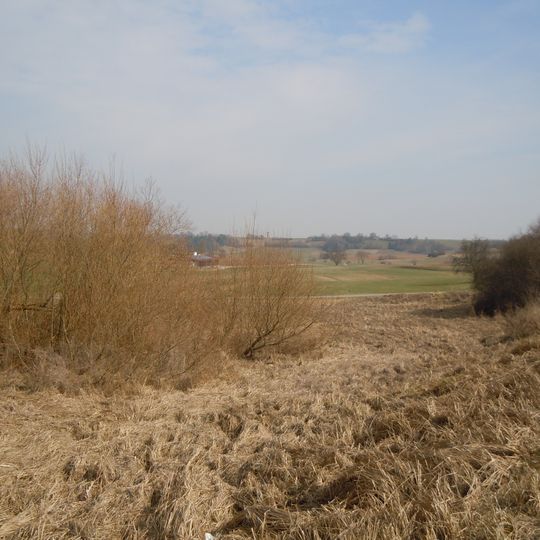 Feuchtbiotop Quintsestal