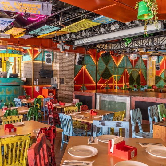 Señor Frog's