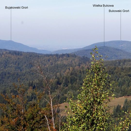 Wielka Bukowa