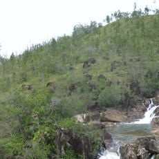 Mountain Pine Ridge Forest Reserve