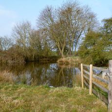 Medieval fishpond complex, 80m south west of Manor House