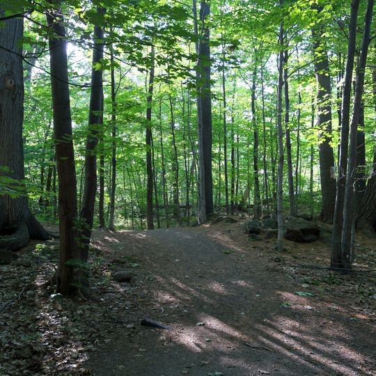 Boisé de Tequenonday