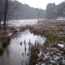 Nature reserve Bagna nad Stążką