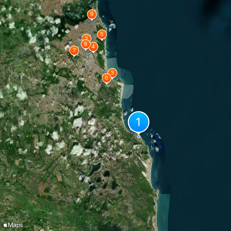 World's Largest Cashew Tree Map