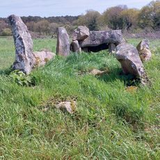 Tumulus à double dolmen d'Er-Rohellec