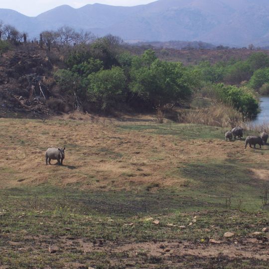 Songimvelo Game Reserve